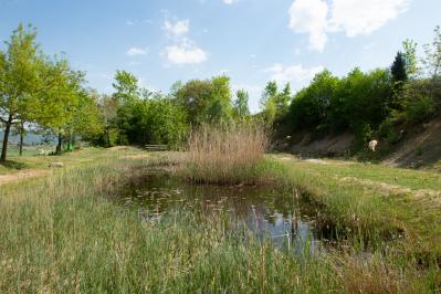 Ausblick Richtung Aarberg
